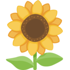 🌻 Facebook / Messenger «Sunflower» Emoji - Facebook Website version