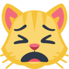 🙀 Facebook / Messenger «Weary Cat Face» Emoji - Version du site Facebook