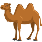 🐫 «Two-Hump Camel» Emoji para Facebook / Messenger - Versión de la aplicación Messenger