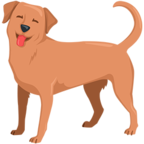 🐕 Facebook / Messenger «Dog» Emoji - Messenger Application version