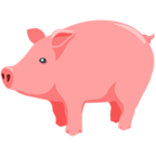 🐖 Facebook / Messenger «Pig» Emoji - Messenger-Anwendungs version