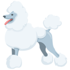 🐩 Facebook / Messenger «Poodle» Emoji - Messenger-Anwendungs version