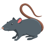 🐀 Facebook / Messenger «Rat» Emoji - Version de l'application Messenger