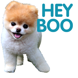 Boo and Buddy Facebook sticker #1