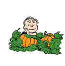 Snoopy's Harvest Facebook sticker #4