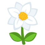 🌼 «Blossom» Emoji para Facebook / Messenger - Versión de la aplicación Messenger