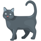 🐈 Facebook / Messenger «Cat» Emoji - Messenger-Anwendungs version