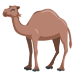 🐪 Смайлик Facebook / Messenger «Camel» - В Messenger'е