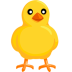 🐥 Facebook / Messenger «Front-Facing Baby Chick» Emoji - Messenger Application version